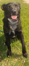 Diego-ADOPTED 08.13.13