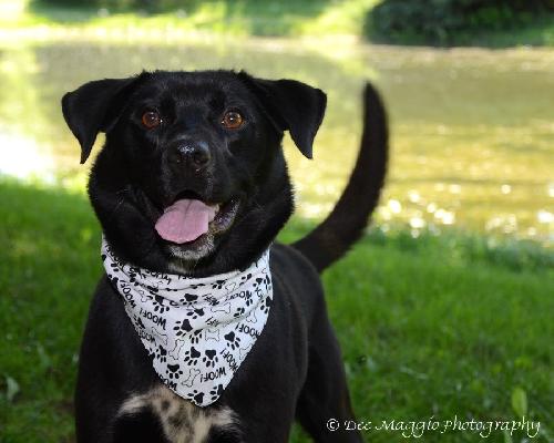 Diego-ADOPTED 08.13.13
