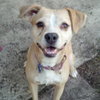 Polly - ADOPTED 10.06.13