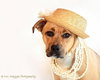 Molly Moo-ADOPTED 07.09.13