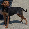 Shakira-ADOPTED 09.07.13