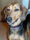 Shakira-ADOPTED 09.07.13