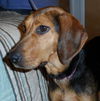 Shakira-ADOPTED 09.07.13