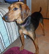 Shakira-ADOPTED 09.07.13