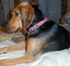 Shakira-ADOPTED 09.07.13