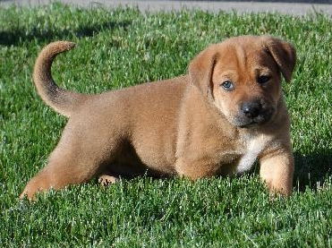 Fi Litter Buoy - ADOPTED 07.13.13