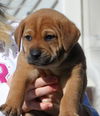 Fi Litter Buoy - ADOPTED 07.13.13