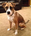 Spud - ADOPTED 03.29.14