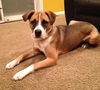 Spud - ADOPTED 03.29.14
