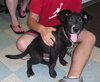 Brinkley - ADOPTED 07.13.13