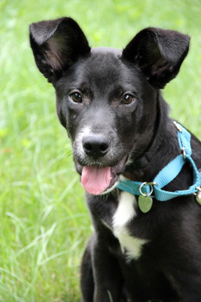 Brinkley - ADOPTED 07.13.13