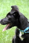 Brinkley - ADOPTED 07.13.13