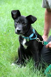 Brinkley - ADOPTED 07.13.13