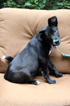 Brinkley - ADOPTED 07.13.13