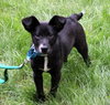 Brinkley - ADOPTED 07.13.13