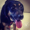 Kimberlee-ADOPTED 09.15.13