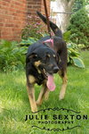 Kimberlee-ADOPTED 09.15.13