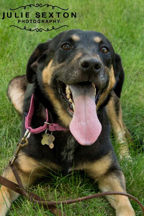 Kimberlee-ADOPTED 09.15.13