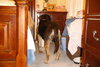 Kimberlee-ADOPTED 09.15.13