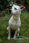 Myra-ADOPTED 08.04.13