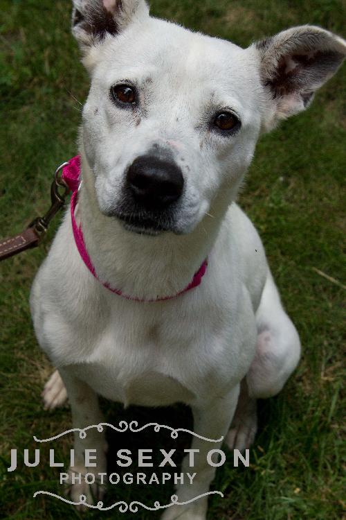 Myra-ADOPTED 08.04.13