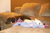 Myra-ADOPTED 08.04.13