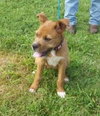 Rene - ADOPTED 09.28.13