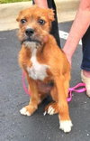 Rene - ADOPTED 09.28.13