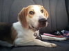 McKenzie - ADOPTED 08.30.14