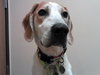 McKenzie - ADOPTED 08.30.14