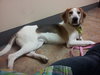 McKenzie - ADOPTED 08.30.14