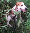McKenzie - ADOPTED 08.30.14