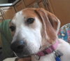 McKenzie - ADOPTED 08.30.14