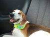 McKenzie - ADOPTED 08.30.14