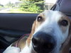McKenzie - ADOPTED 08.30.14