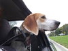 McKenzie - ADOPTED 08.30.14