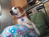 McKenzie - ADOPTED 08.30.14