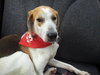McKenzie - ADOPTED 08.30.14