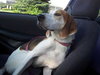 McKenzie - ADOPTED 08.30.14