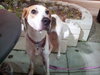 McKenzie - ADOPTED 08.30.14