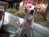 McKenzie - ADOPTED 08.30.14
