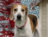 McKenzie - ADOPTED 08.30.14