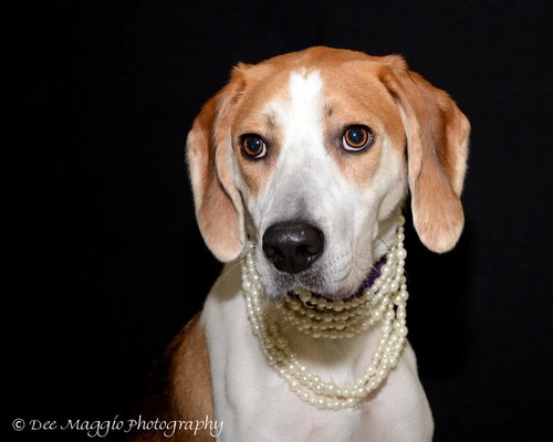 McKenzie - ADOPTED 08.30.14