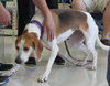 McKenzie - ADOPTED 08.30.14