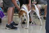McKenzie - ADOPTED 08.30.14