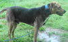 Seuss-ADOPTED 09.21.13