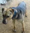 Seuss-ADOPTED 09.21.13
