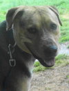 Seuss-ADOPTED 09.21.13