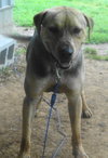 Seuss-ADOPTED 09.21.13