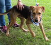Seuss-ADOPTED 09.21.13
